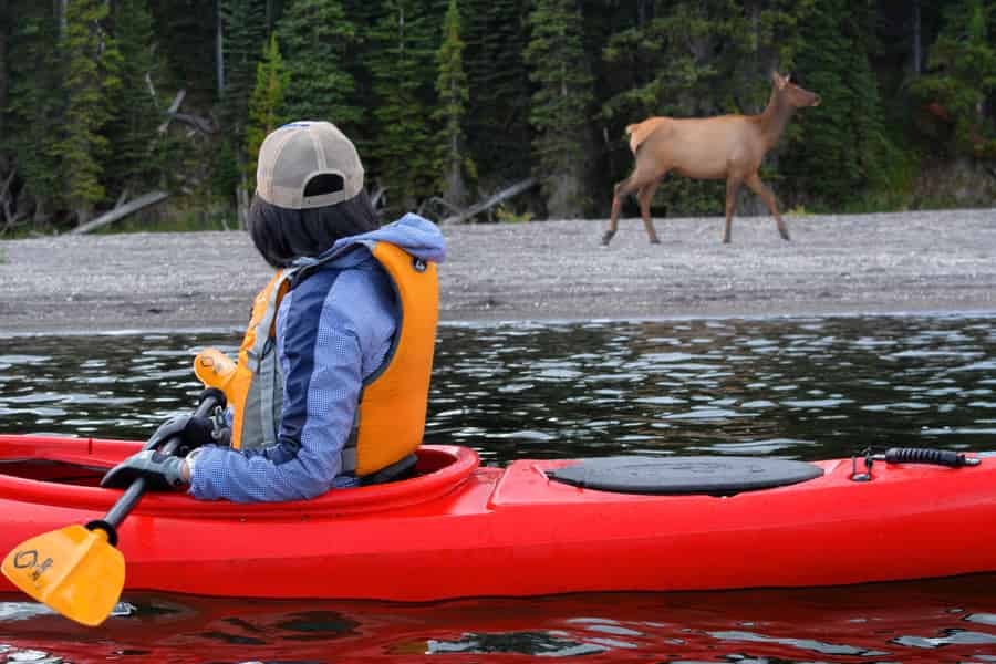 Kajakabenteuer auf dem Yellowstone Lake zwischen thermischen Besonderheiten. Foto: GetYourGuide Kajakabenteuer auf dem Yellowstone Lake zwischen thermischen Besonderheiten. Foto: GetYourGuide