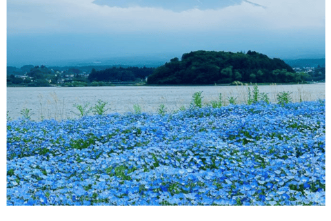 Tokyo : Visite privée d&#039;une journée au Mont Fuji et aux lacs