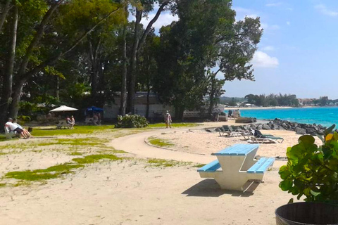 Bajan Beach Day, nurkowanie z rurką i wycieczka do wraku statku w Thunder Bay