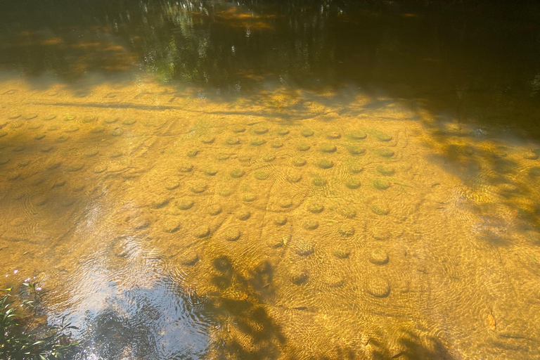 Kulen trektocht en overnachting op de campingKulen Wandelen en watervallen