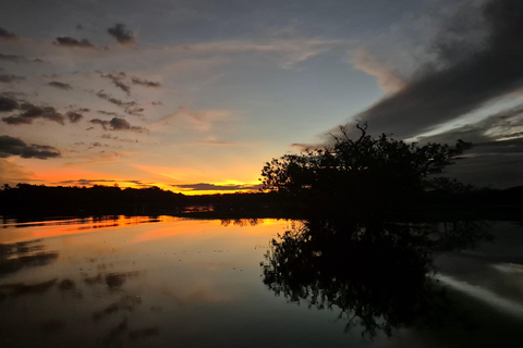 Manaus: Private Amazon Sunset and Night Tour by Speedboat