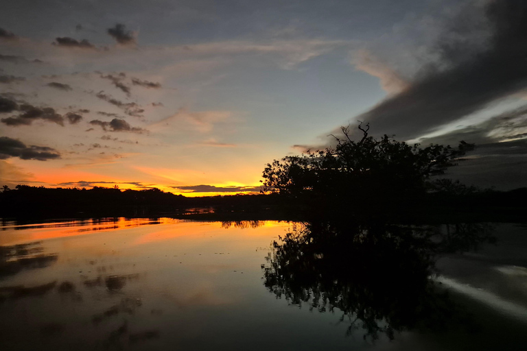 Manaus: Private Amazon Sunset and Night Tour by Speedboat
