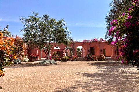 De Ica ou Huacachina: Pisco, vinho e buggy ao pôr do sol