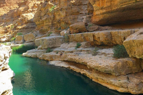 Oman Coastal Escape: Fins Beach, Sur, RasAlJinz Turtle Watch