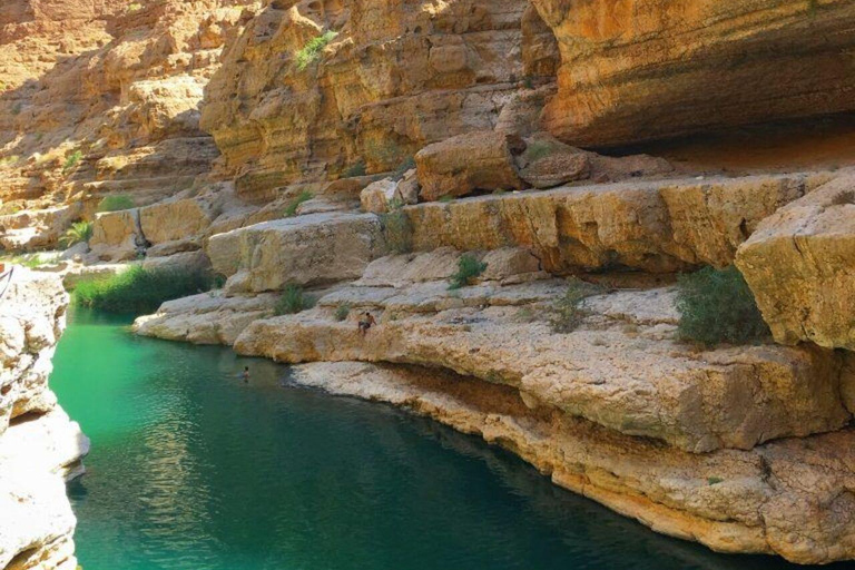 Oman Coastal Escape: Fins Beach, Sur, RasAlJinz Turtle Watch