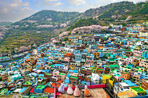 (Guaranteed Return) Busan City Tour for Ulsan Cruise Guests
