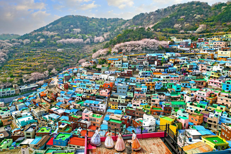 (Guaranteed Return) Busan City Tour for Ulsan Cruise Guests