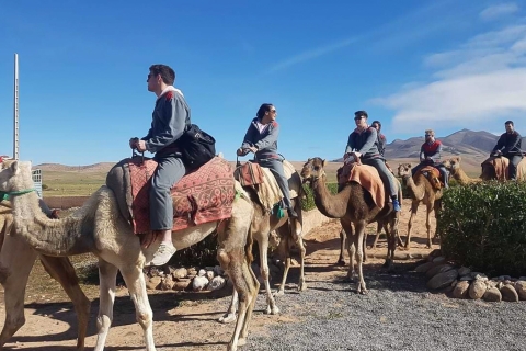 From Marrakech: Lalla Takerkoust Camel Ride & Quad Bike Tour