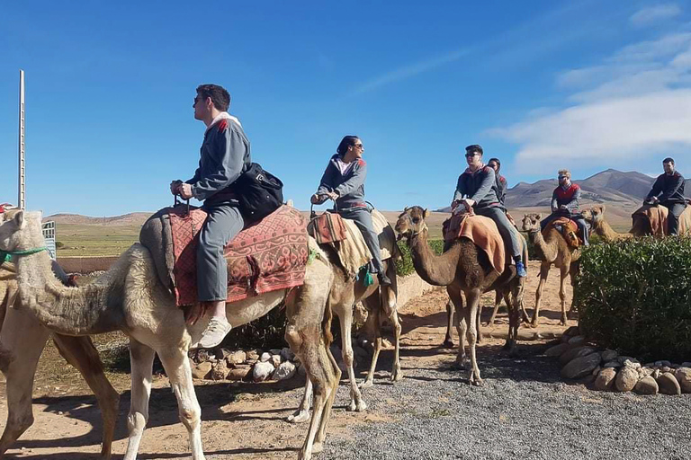 Van Marrakech: Lalla Takerkoust Camel Ride & Quad Bike Tour