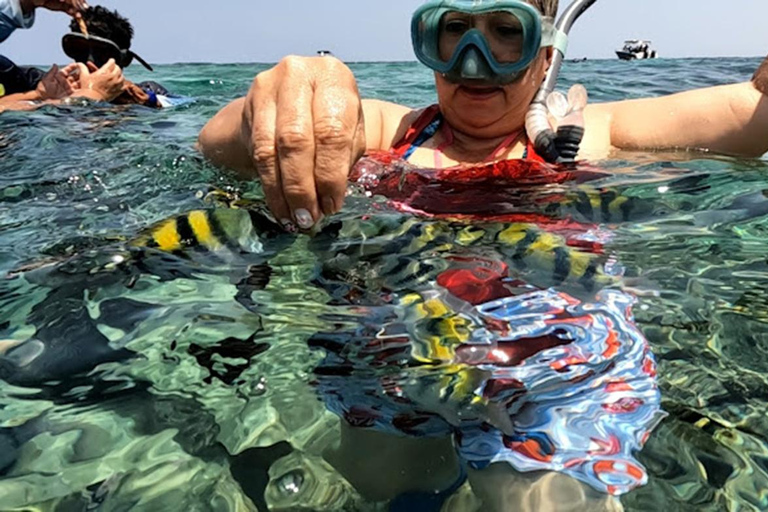 Cartagena: Excursion to the Rosario Islands and Playa Blanca with lunch