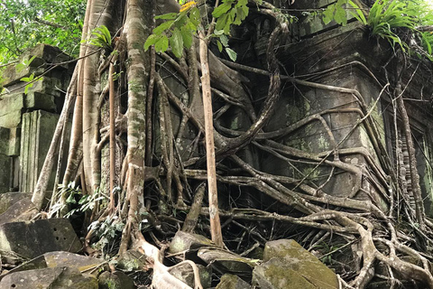 24-Day Cambodia Discovery: From Temple & Wildlife to Beaches