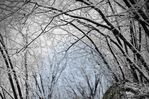 TOUR PRIVATO da Zagabria: Dubovac, Rastoke e Plitvice.Tour privato da Zagabria: Dubovac, Rastoke e laghi di Plitvice.