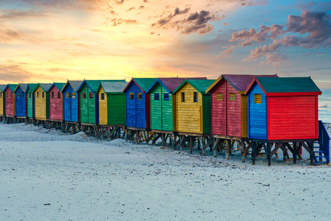 Table Mountain, Penguins & Cape of good hope full day Tour Private Tour for your group