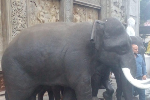Tuk Trip Is Very Cheap In Colombo ( All Inclusive) City Tour