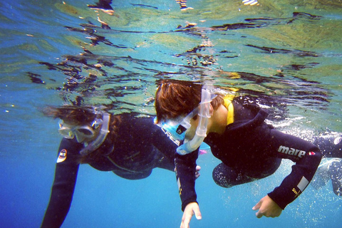 Snorkelervaring in het zuiden van Gran Canaria