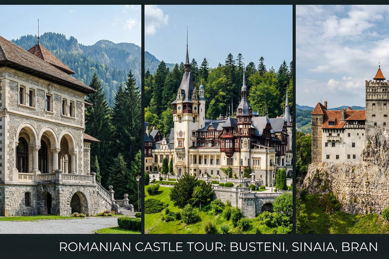 3 Castles 1 Day Tour Sibiu : Dracula’s, Peles, & Wednesday Audio Guide 24 Languages