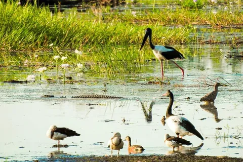 Darwin : Excursion d'une journée dans le parc national de Kakadu avec déjeuner
