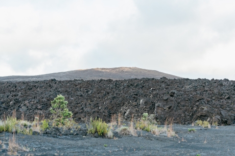 Ab Hilo: Vulkanerkundung am Abend auf Big Island
