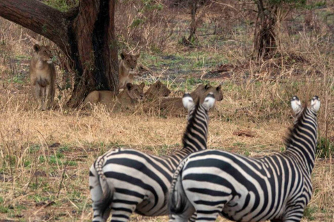 Safaris de acampada de 3 días