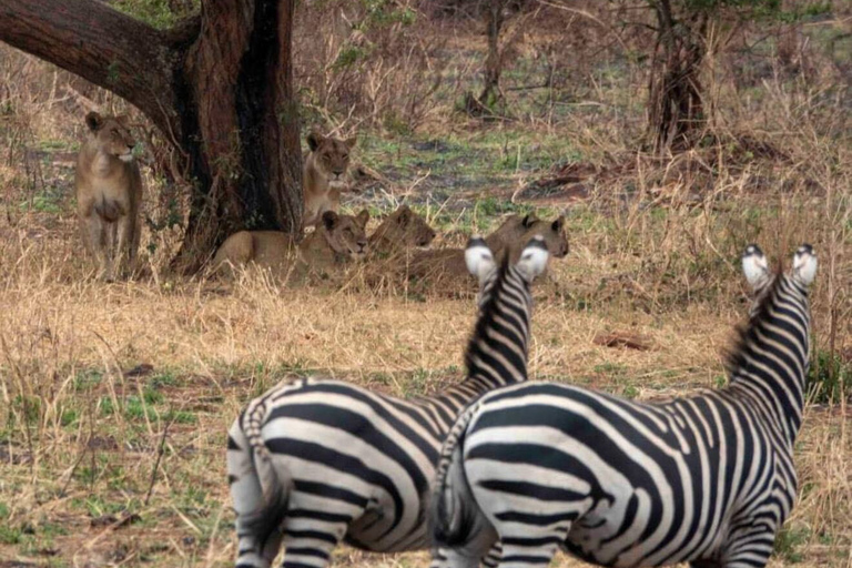 Safaris de acampada de 3 días