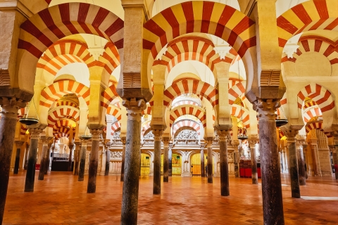 Córdoba: complete tour van 4 uurRondleiding in het Frans