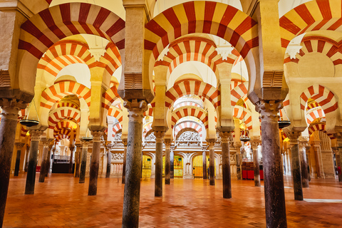 Córdoba: Tour del quartiere ebraico, della sinagoga, della moschea e dell&#039;AlcázarTour in spagnolo