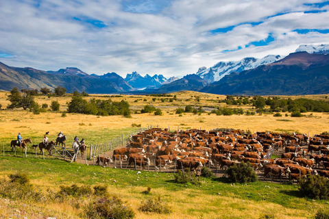 El Calafate: Nibepo Aike Ranch med hästridning