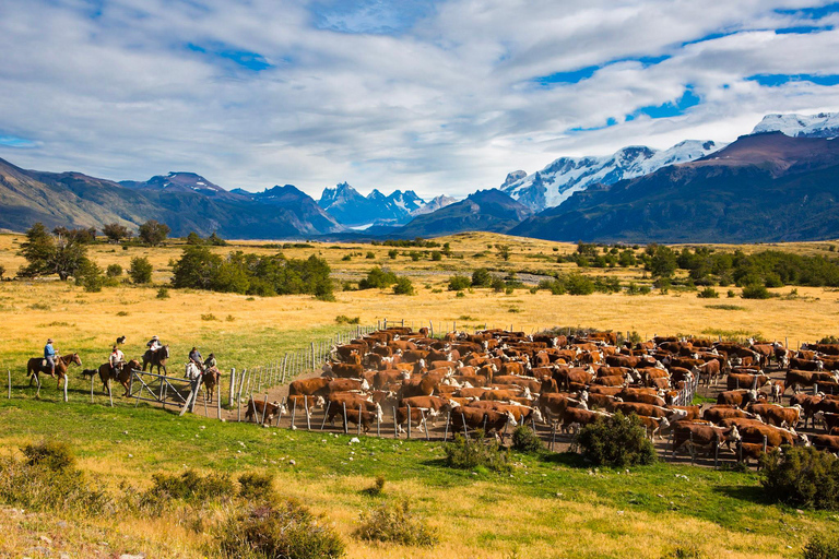 El Calafate: Ranczo Nibepo Aike z jazdą konną