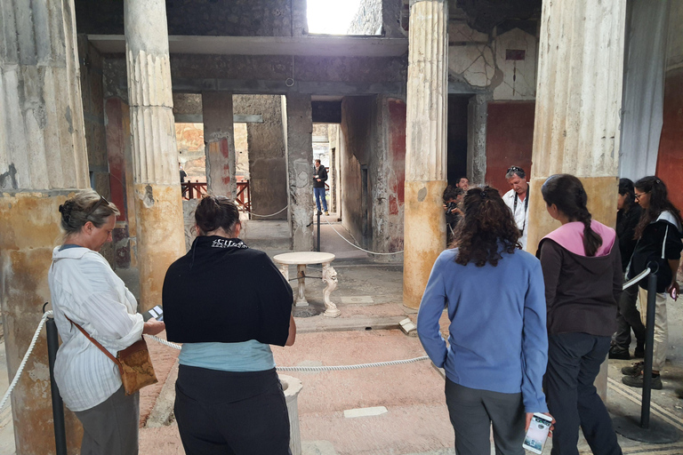 Pompeji: Gruppentour ohne Anstehen mit Archäologen-GuidePrivate Tour