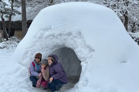 Tour privato del Parco delle Scimmie di Neve da e per Tokyo fino a 12 persone