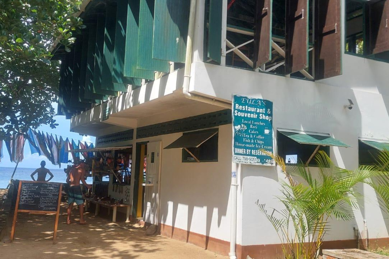 Tobago: Caribbean Coast Tour with Waterfall Swim