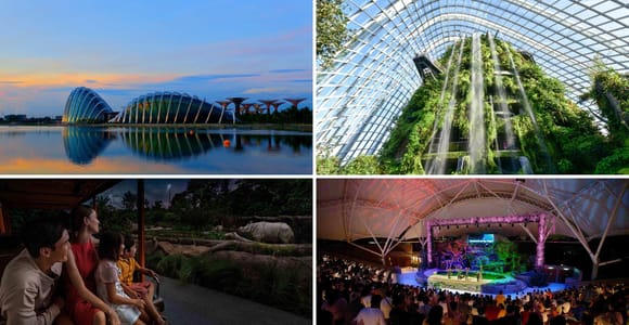 Singapore: Gardens by the Bay and Night Safari Tour