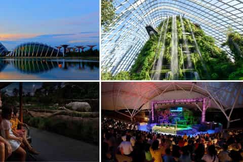 Singapore: Gardens by the Bay and Night Safari Tour - Image 3