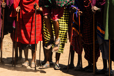 Zanzibar: Maasai village and Nungwi turtlesZanzibar: Maasai village &amp; Nungwi excursion - Morning