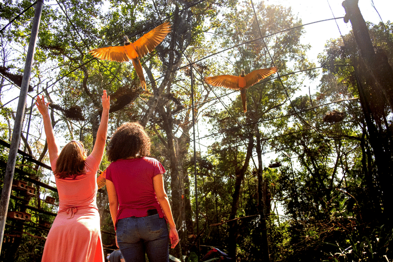 شلالات إجواسو الجانب البرازيلي، وحديقة الطيور وجولة بطائرة هليكوبترمن فوز دو إيغواسو