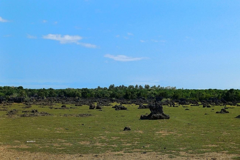 Diani Beach: Sunrise Boat Tour and Snorkeling Trip