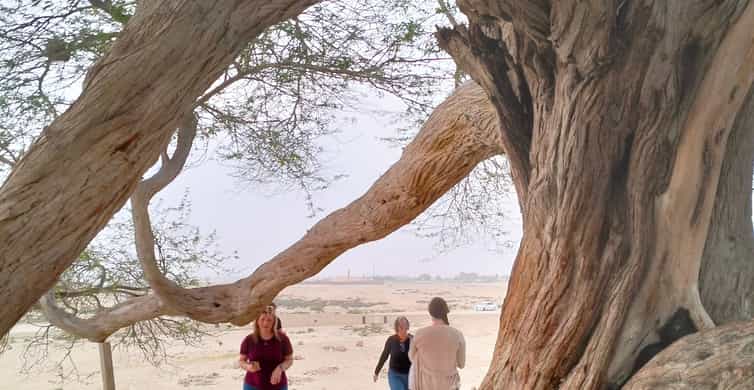 Bahrain: Tree of Life & Desert Heritage Bus Tour photo 9
