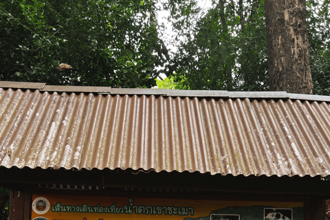 Pattaya: Waterfall Swim, Cave River and Naga Temple Day Trip