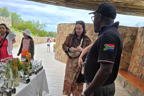 Cape Town: Cruise Passengers sunset Safari & Wine Tour