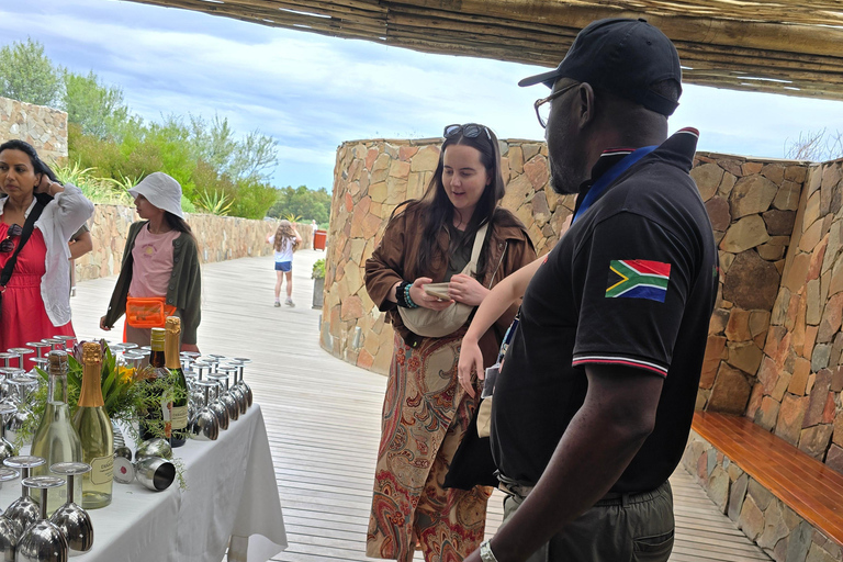 Cape Town: Cruise Passengers sunset Safari & Wine Tour