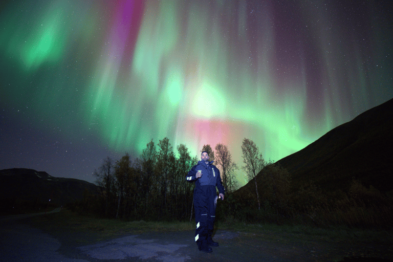 Tromsø: Northern Lights Tour with Photos & Snacks