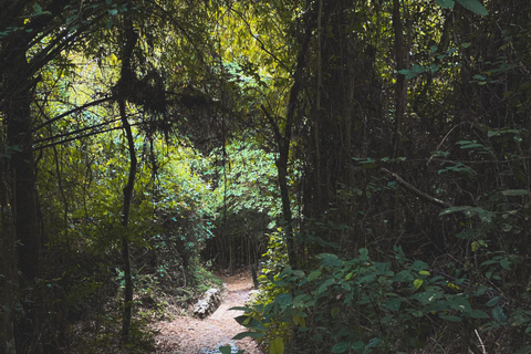 From Accra: ATV, Aburi Gardens, & Waterfalls Trip with Lunch