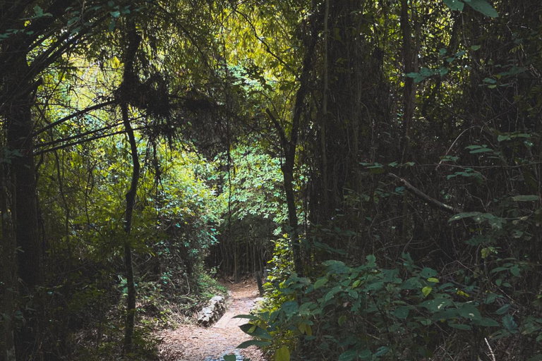 From Accra: ATV, Aburi Gardens, & Waterfalls Trip with Lunch