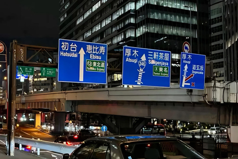 Fast & Furious Tokyo Night Ride: Luxury Daikoku & Skytree
