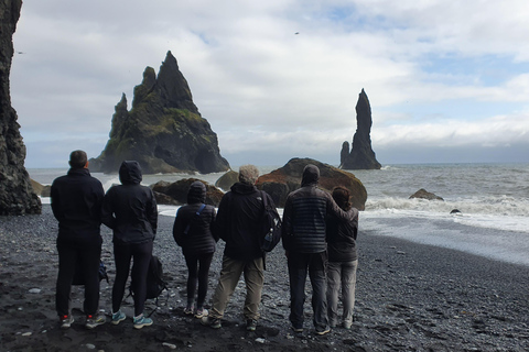 Reykjavik: Visita à costa sul e às cascatas escondidas