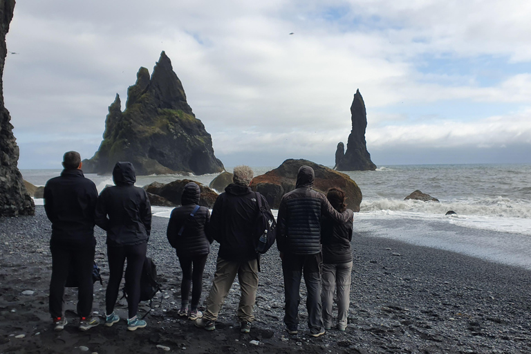 Reykjavik: Wycieczka po południowym wybrzeżu i ukrytych wodospadach