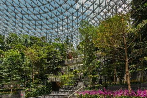 Singapore: Jewel Changi Airport Ticket Mastercard ® Canopy Bridge + Complimentary Canopy Park