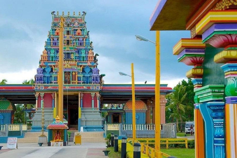 Nadi: Private Tour with Temple, Markets, and Hot Springs
