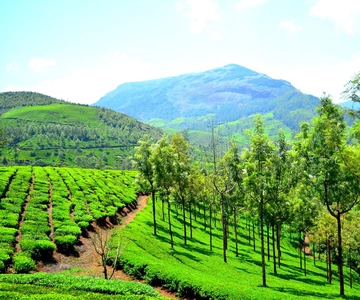 5 Noites / 6 Dias Munnar & Ooty Passeio de Bicicleta