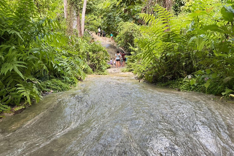 Gems of Chiangmai : Dantewada, Wat Ban den, Sticky Waterfall